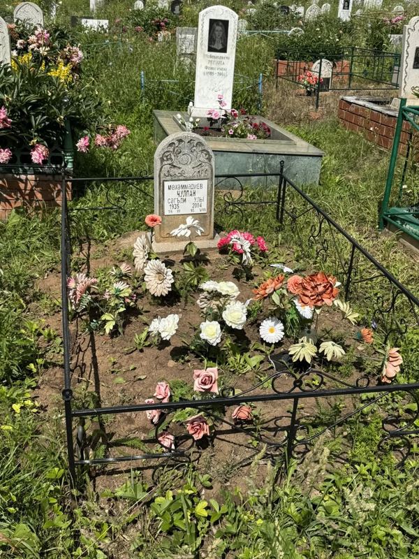 Фото надгробия: Мухаммедиев Чулпан Сагдиевич