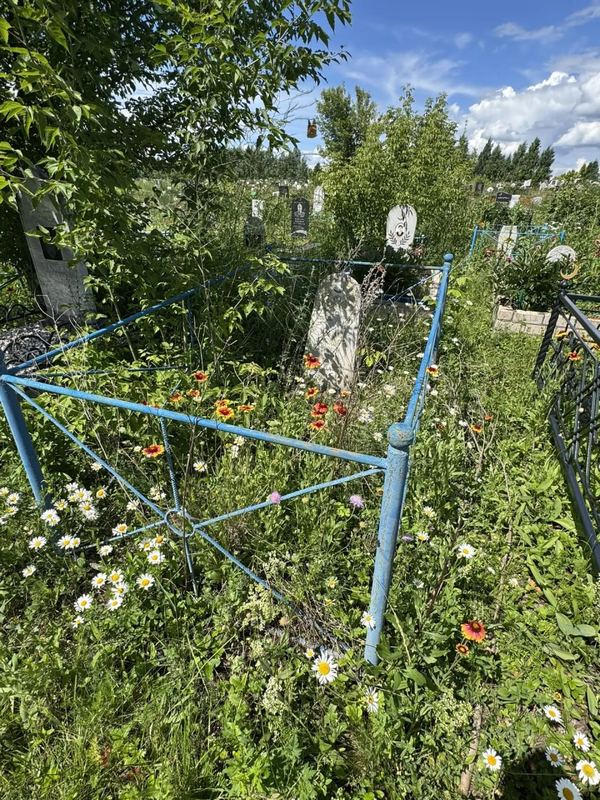 Фото надгробия: Шигапов Салават Кашифович
