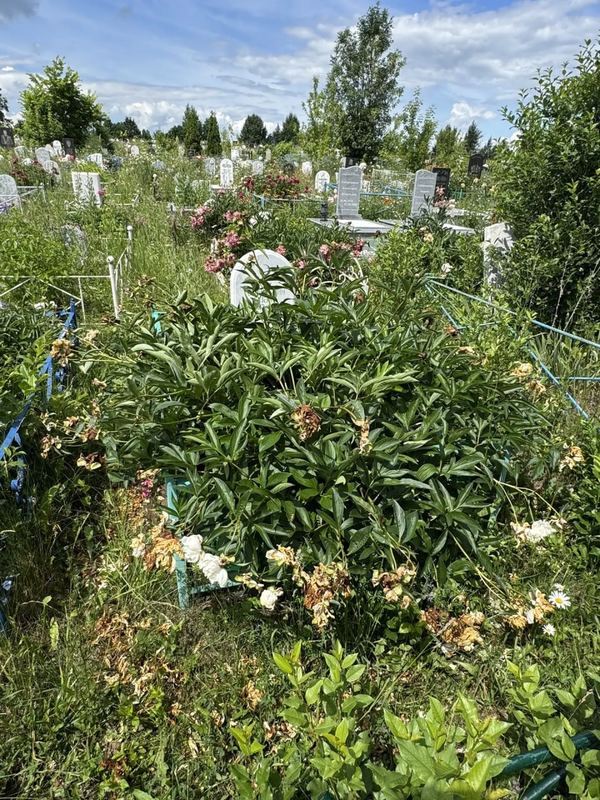 Фото надгробия: Губайдуллин Алям Газизович