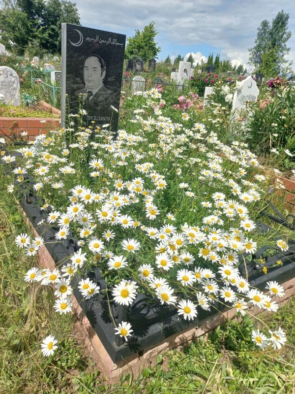 Фото надгробия: Миргалиев Радик Гарифович