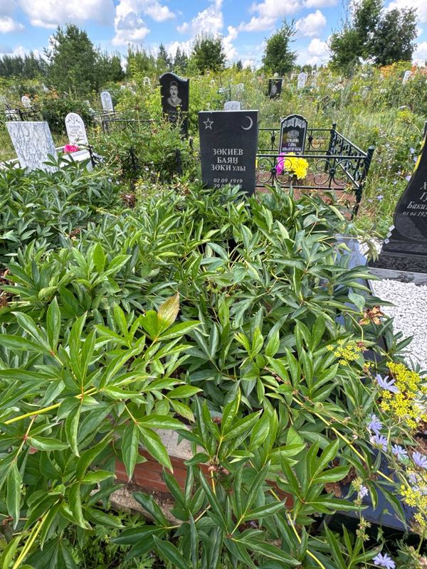 Фото надгробия: Закиев Баян Закиевич
