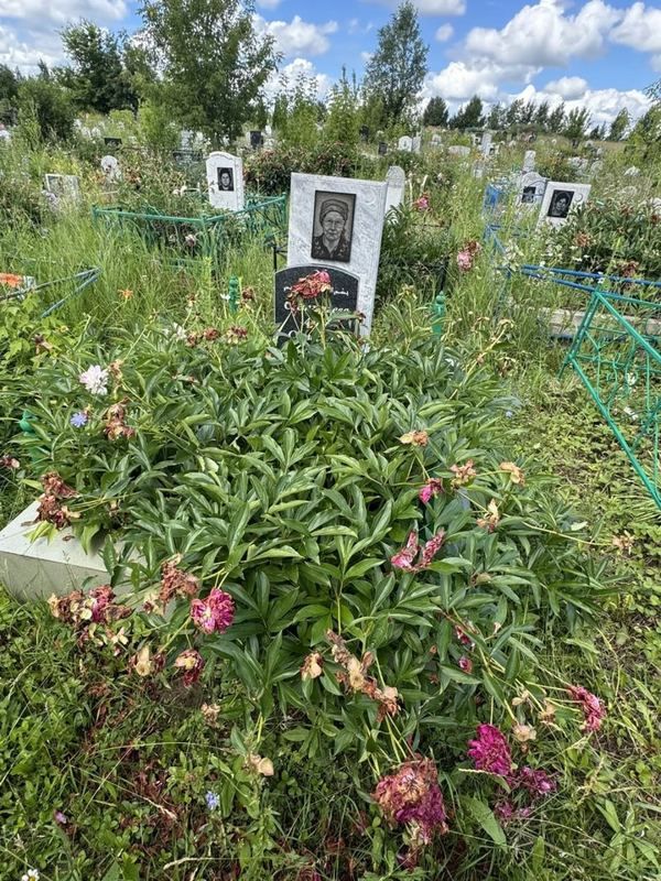 Фото надгробия: Саетгараева Асия Салихзяновна