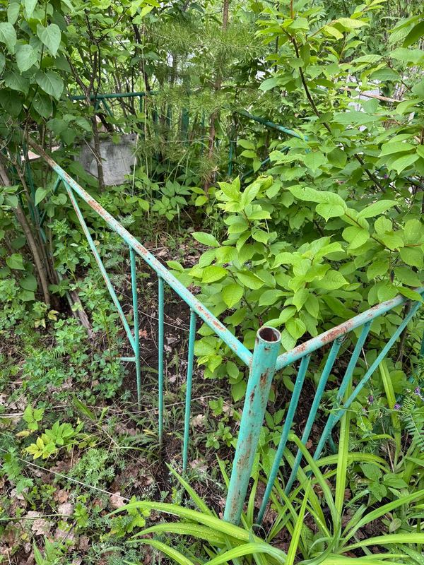 Фото надгробия: Гайнуллина Расима Зинатулловна