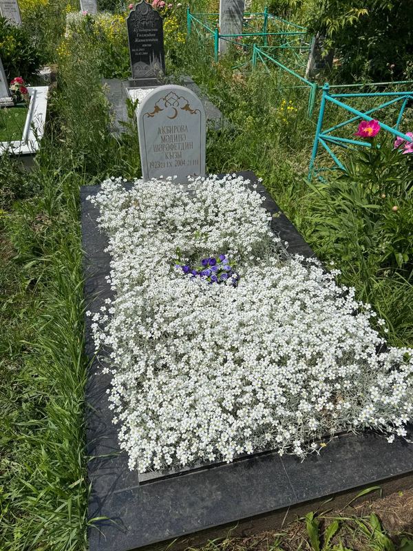 Фото надгробия: Акбирова Мадина Шарафетдиновна