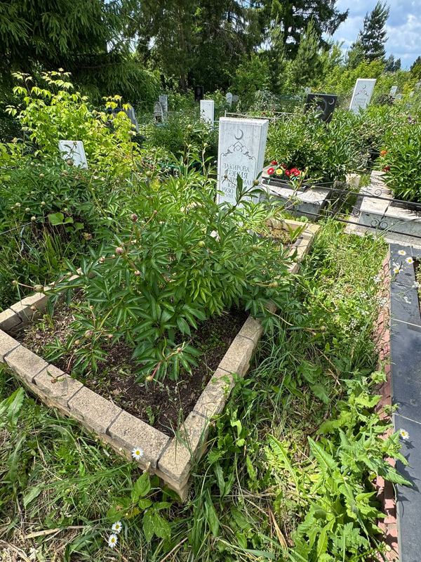 Фото надгробия: Закирова Савия Габдрахмановна
