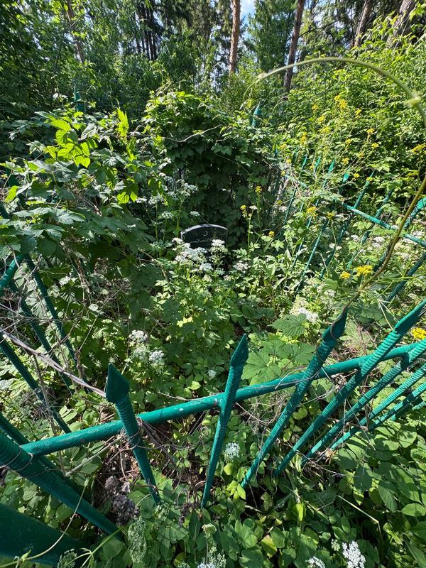 Фото надгробия: Саетов Харис Саетгараевич