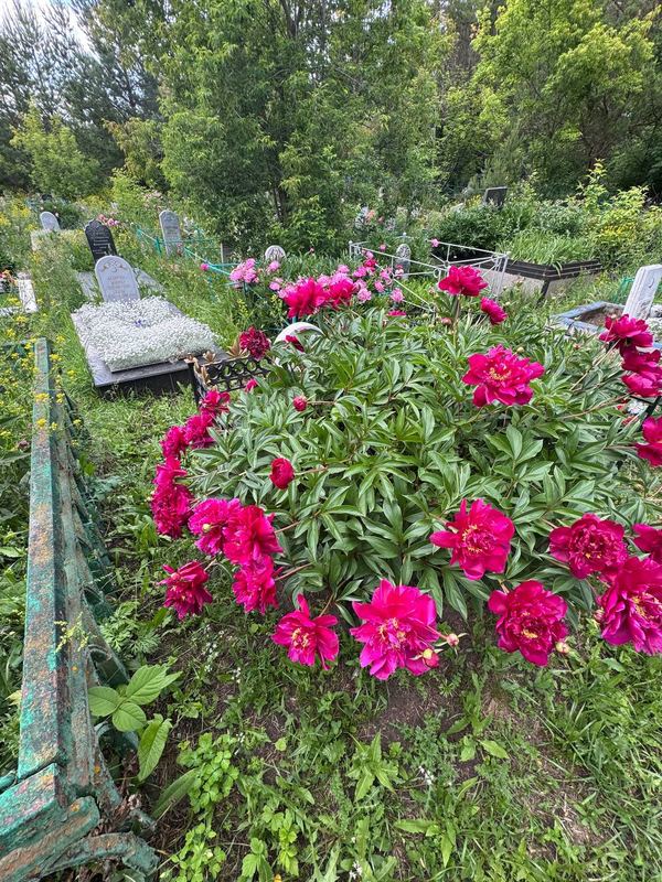 Фото надгробия: Раупова Лилия Ринатовна