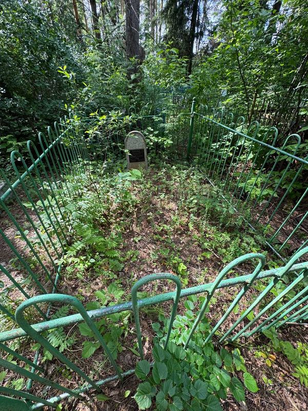 Фото надгробия: Валиев Рифат Миннехарисович