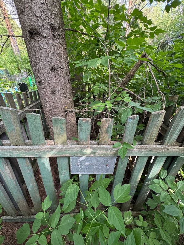 Фото надгробия: Валиева Камал Таниевич