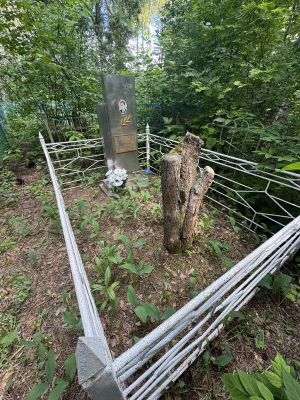 Фото надгробия: Светов Ульфат Зуфарович