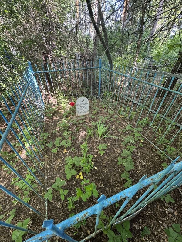 Фото надгробия: Гильметдинов Эдуард Габдельгазизович