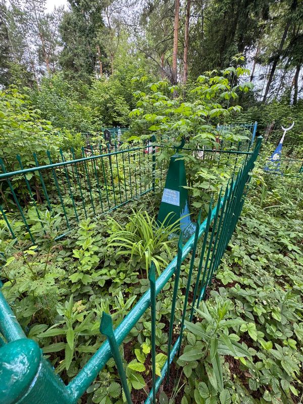 Фото надгробия: Гафаров Габдельян Хафизович