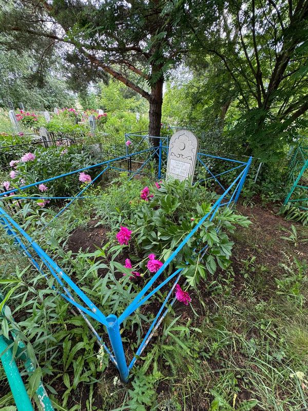 Фото надгробия: Салахов Афзал Ансарович