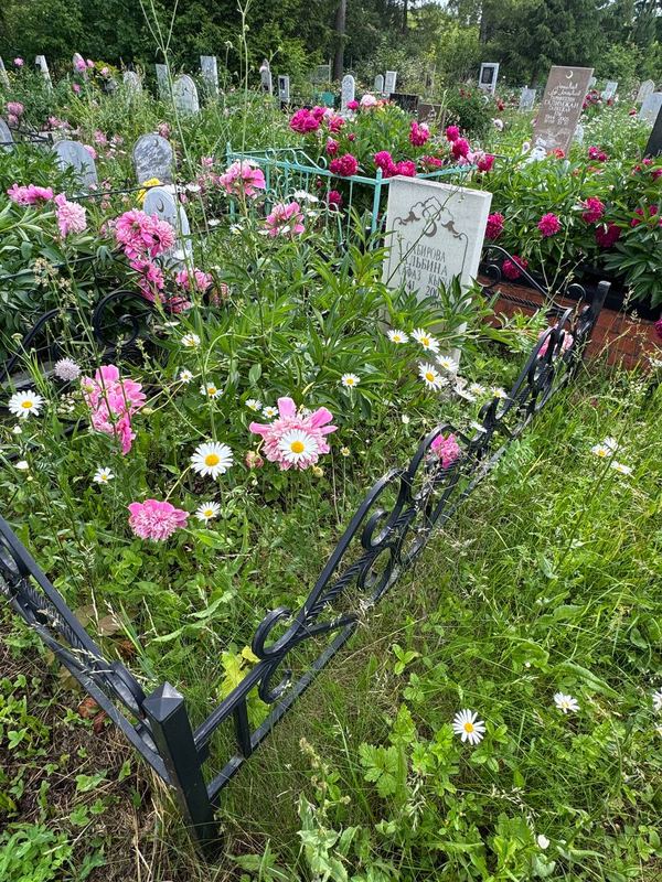 Фото надгробия: Сабирова Альбина Хафазовна