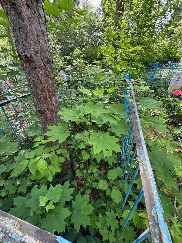 Фото надгробия: Гараев Котдус Харисович