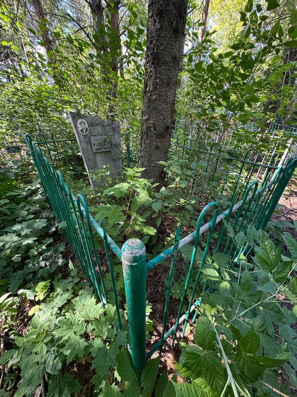 Фото надгробия: Галиев Наиль Нургалиевич