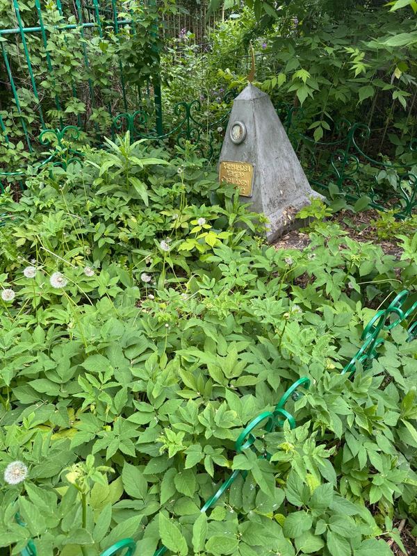 Фото надгробия: Ханнанова Хажар Сафовна