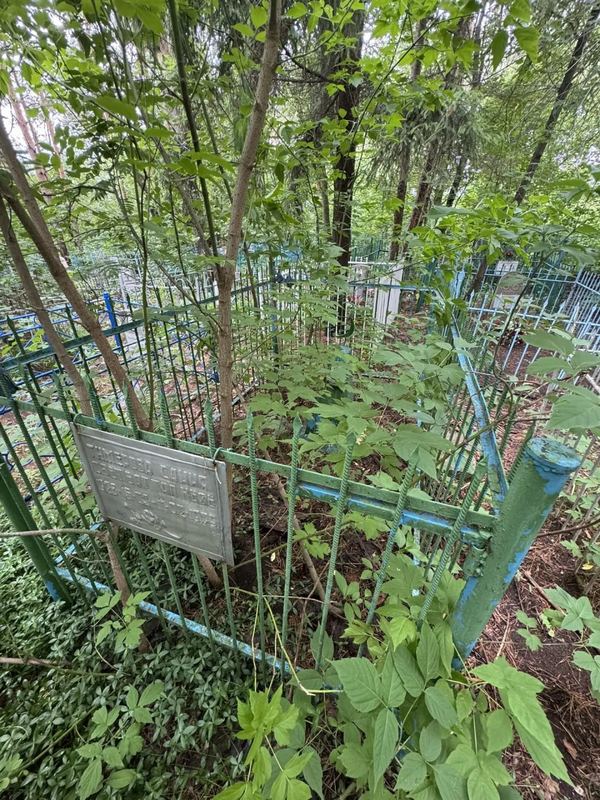 Фото надгробия: Тимерова Сания Саетбатталовна