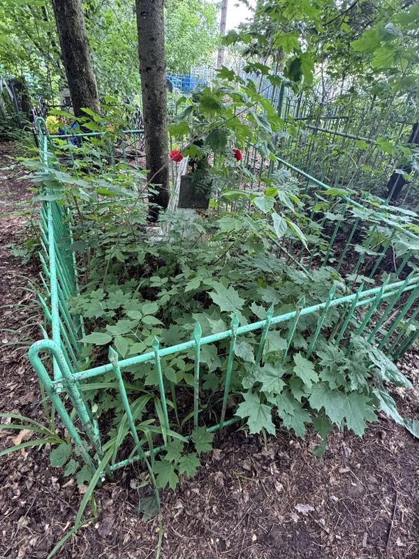 Фото надгробия: Хазиева Альфия Фатыховна