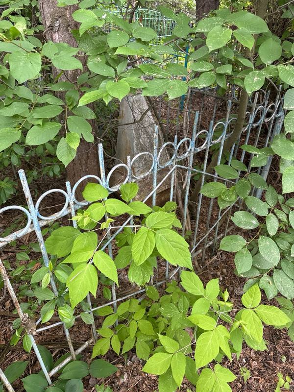 Фото надгробия