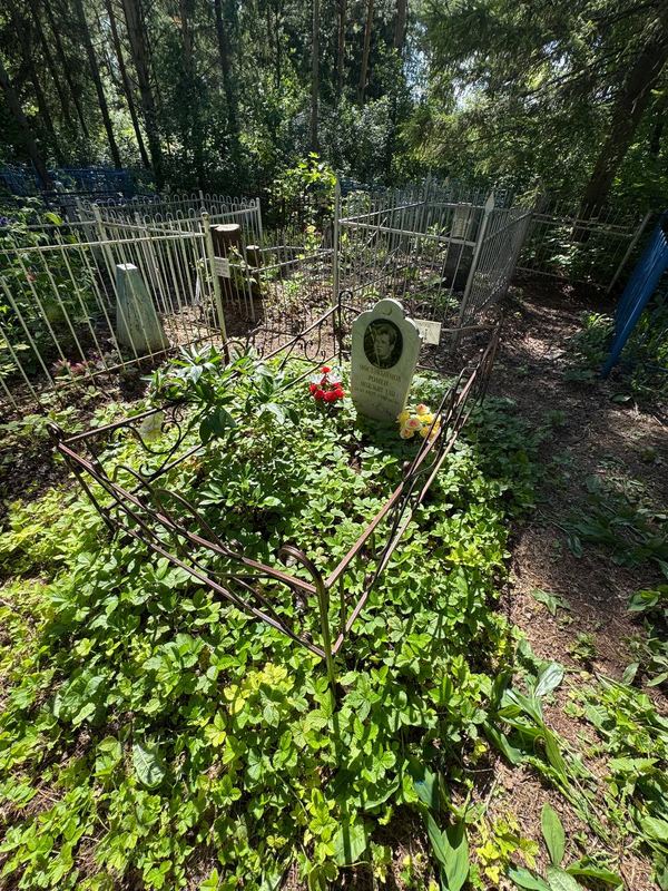 Фото надгробия: Мустакимов Ромен Музахитович