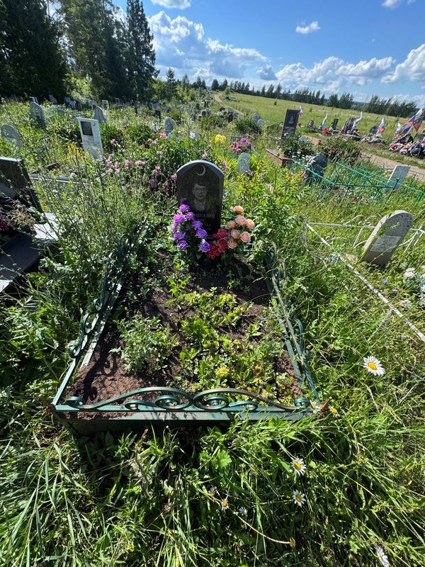 Фото надгробия: Хабибуллин Анис Закиевич