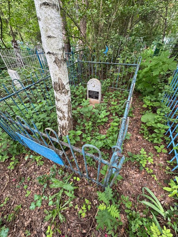 Фото надгробия: Ахметшина Минлезайнап Шайхелисламовна