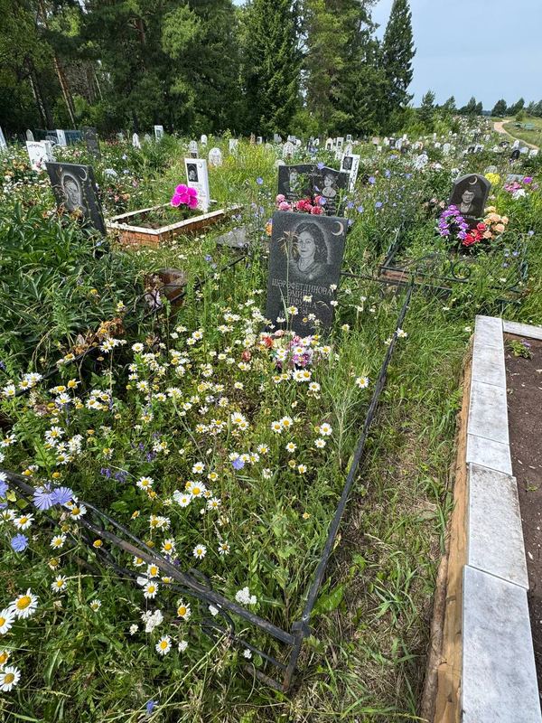 Фото надгробия: Шерефетдинова Амина Кашфулловна