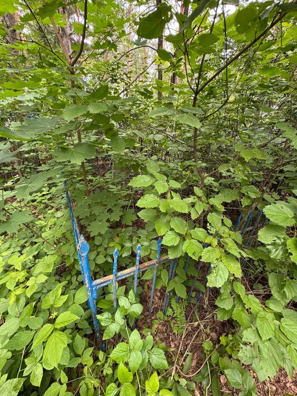 Фото надгробия: Кабирова Гульниса Габбасовна