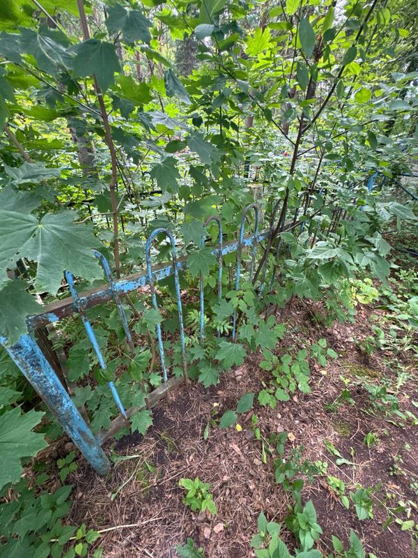 Фото надгробия