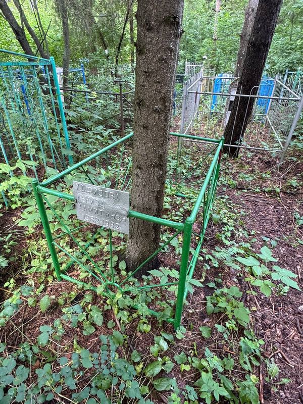 Фото надгробия: Хафизова Лениза Хамитовна