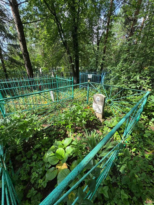 Фото надгробия: Садыйков Насим Гарифович