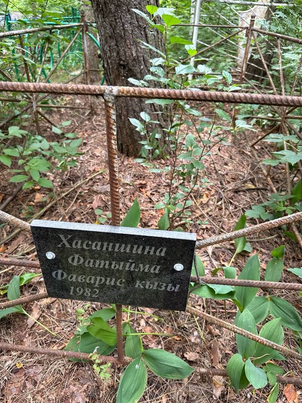 Фото надгробия: Хасаншина Фатыйма Фаварисовна