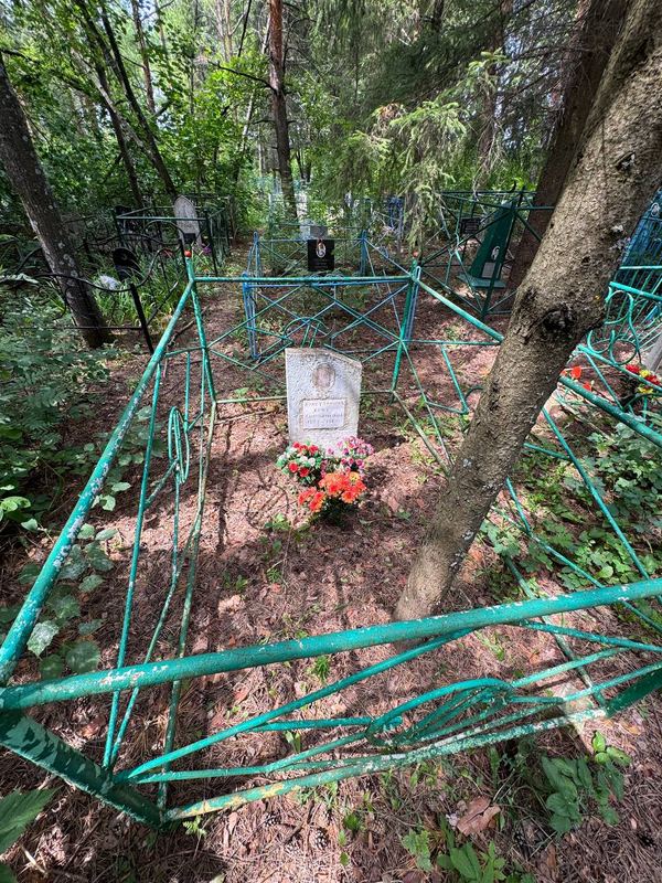 Фото надгробия: Ахметзянова Хаят Хаммадиевна