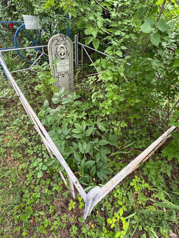 Фото надгробия: Алпагулов Анвар Габдрахманович