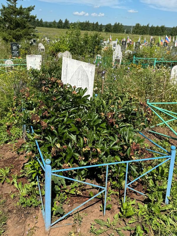 Фото надгробия: Нуриахметова Накия Камильевна