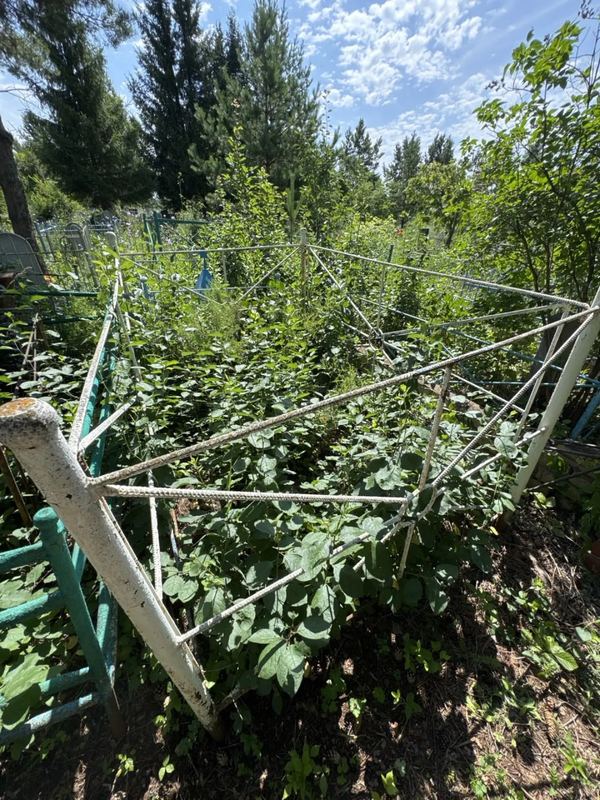 Фото надгробия