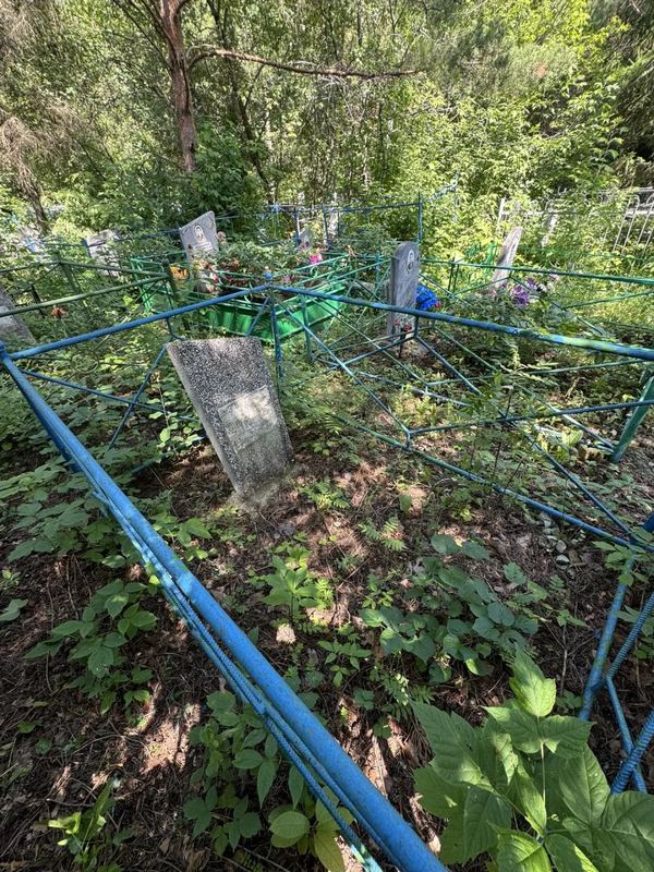 Фото надгробия: Зарипова Хаят Ханифовна