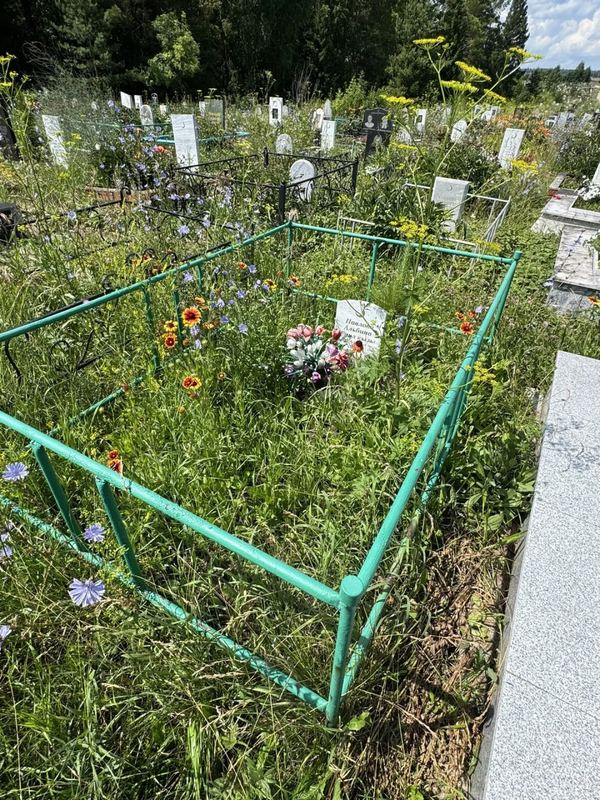 Фото надгробия: Павлова Альбина Раиловна