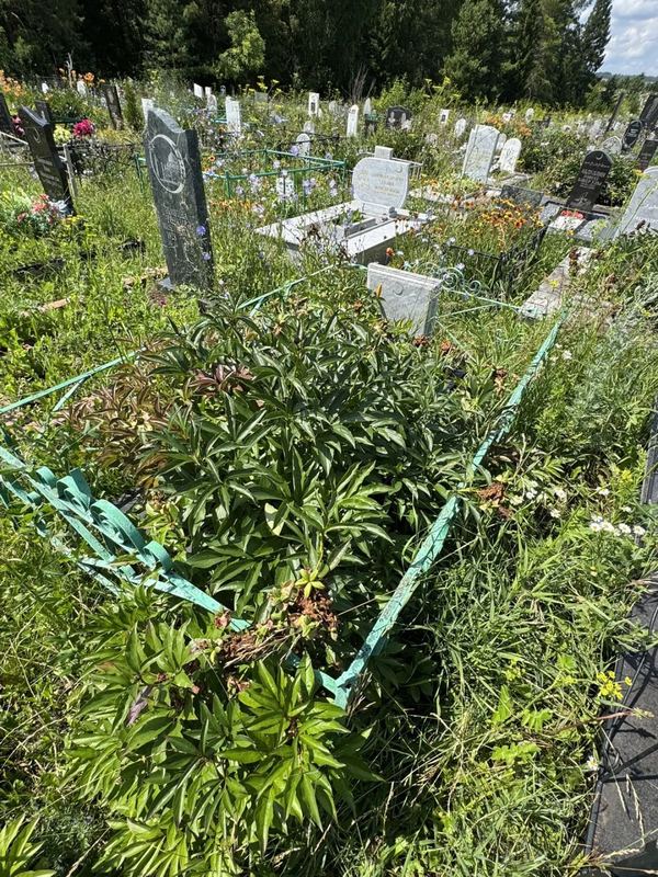 Фото надгробия: Джалилов Азкар Габдельхаевич