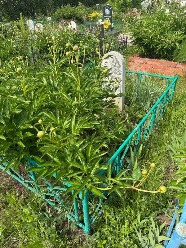 Фото надгробия: Зиннурова Карима Зиннуровна