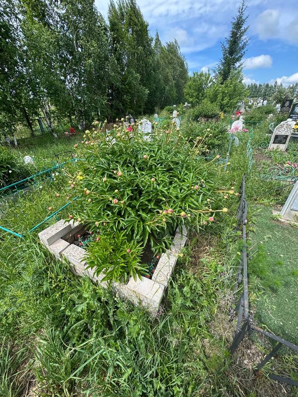 Фото надгробия: Шайхутдинова Сугда Нигматулловна