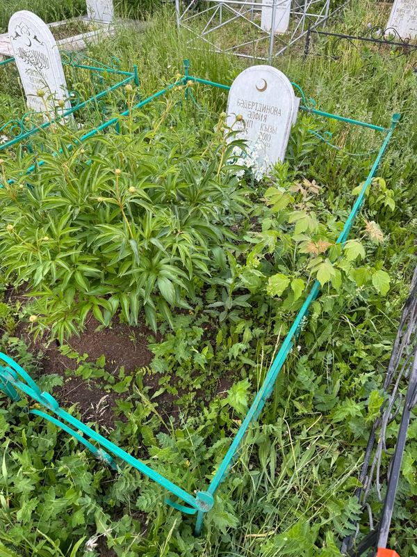 Фото надгробия: Бадертдинова Альфия Ханиповна