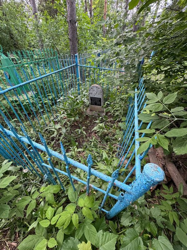 Фото надгробия: Низамеева Рабига Валиевна