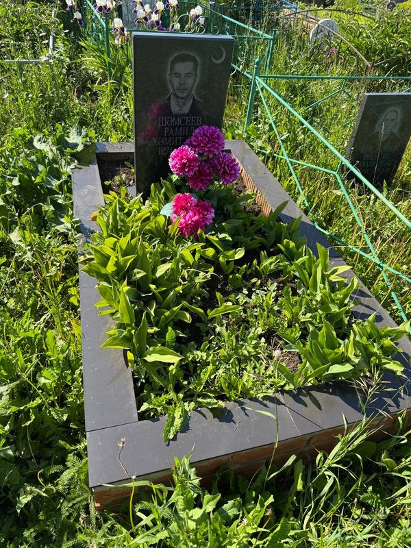 Фото надгробия: Шамсеев Рамиль Хамитович