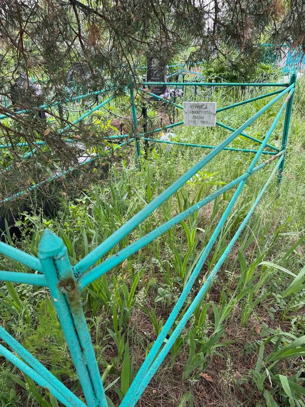 Фото надгробия: Нурниса Гафиатулловна