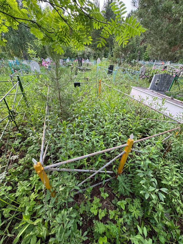 Фото надгробия: Хафизова Зайнап Харисовна