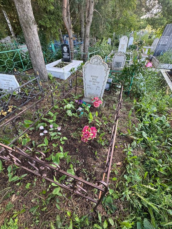 Фото надгробия: Шарипов Анис Мутаваккилович
