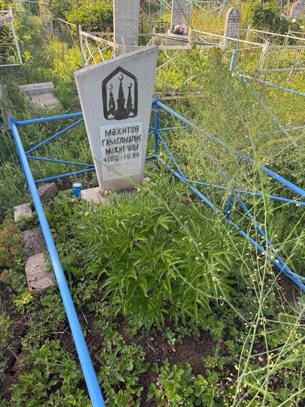 Фото надгробия: Мазитов Габделмалик Мазитович