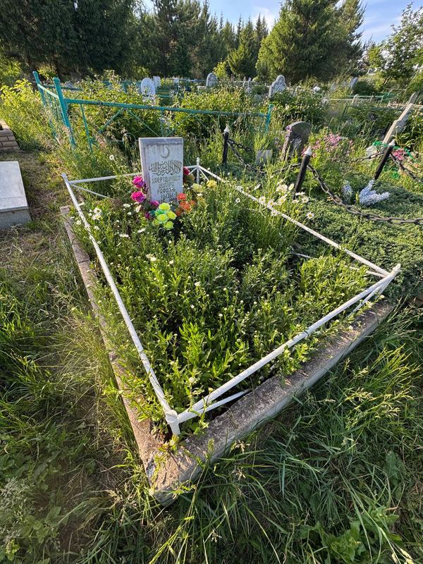 Фото надгробия: Хаертдинова Диляра Рафаэлевна